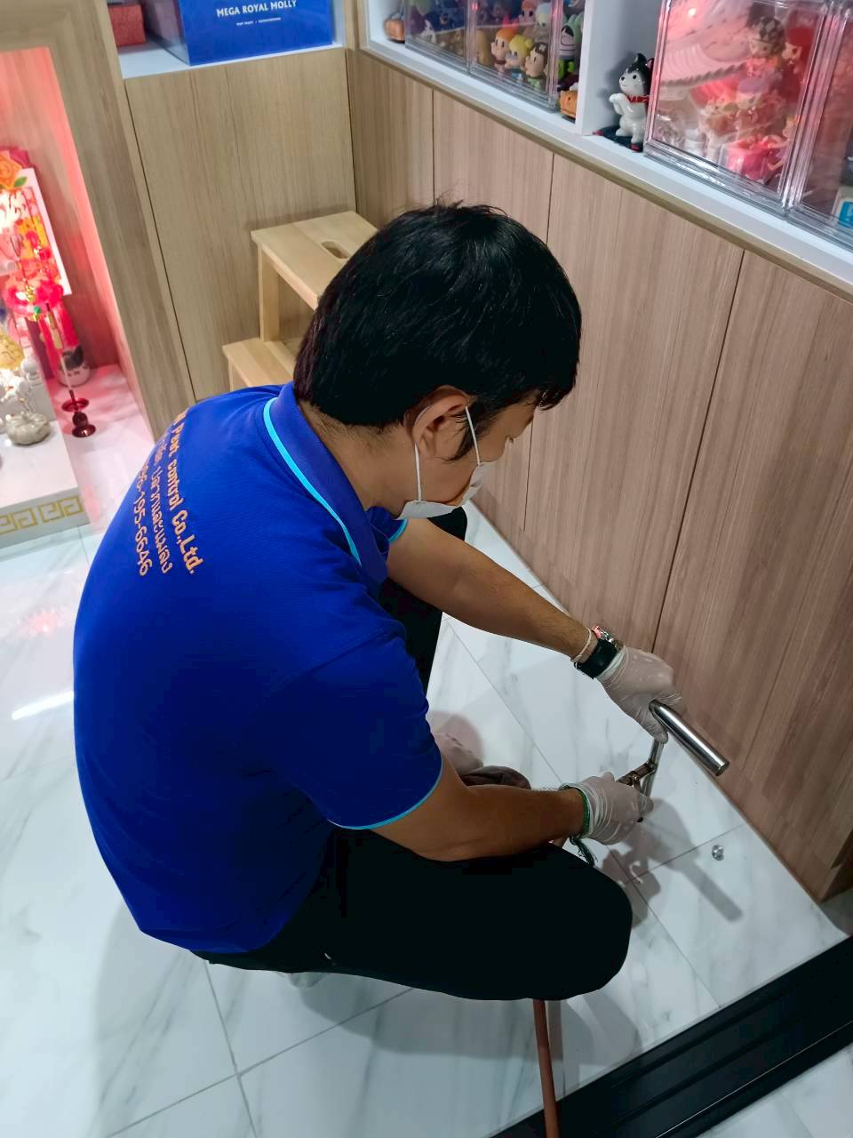 อัดน้ำยาป้องกันปลวกภายในบ้าน