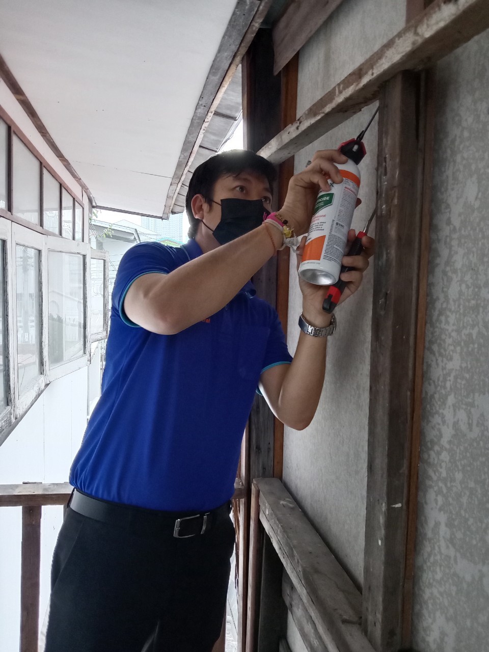 ระบบโฟมกำจัดปลวกโครงไม้