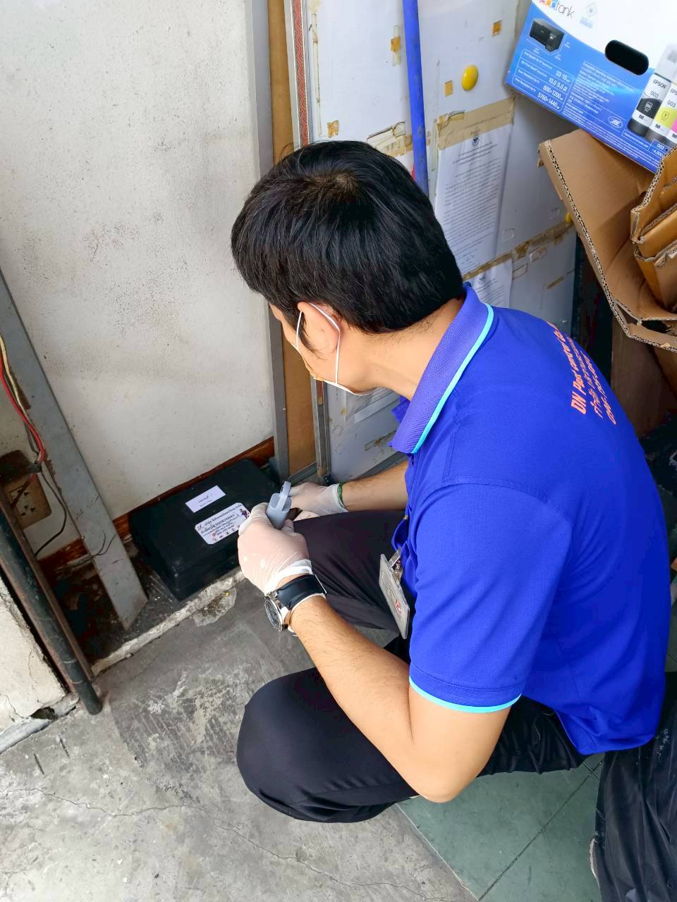 ควบคุมและกำจัดหนู
